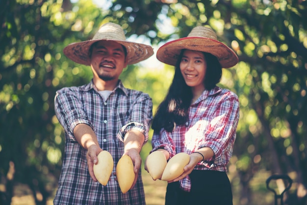 El joven agricultor con el dulce mango orgánico.