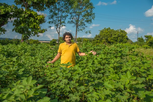 Un joven agricultor en una granja de algodón examina y observa el campo.