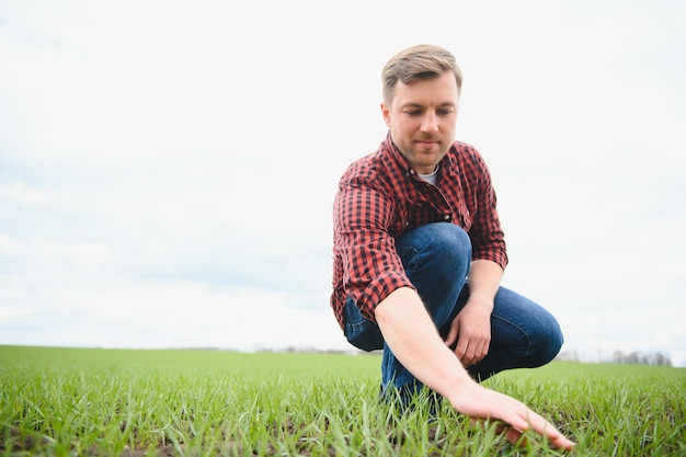 Joven agricultor guapo en cuclillas en el campo de maíz en primavera Concepto de innovación y agronegocios