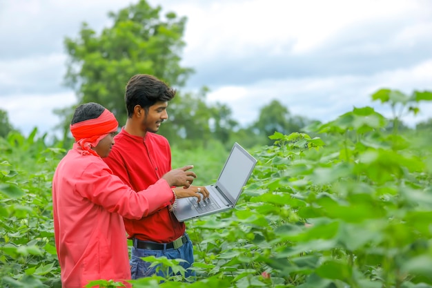 Joven agricultor indio con agrónomo en campo de algodón