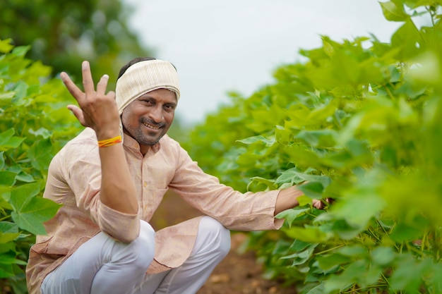 Joven agricultor indio en el campo de la agricultura de algodón verde.