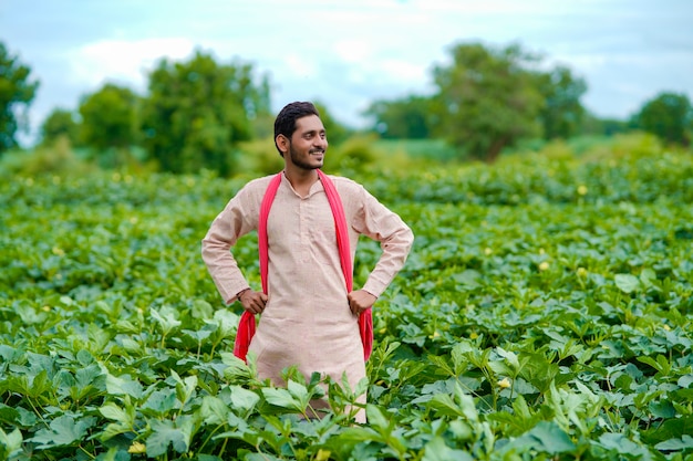 Joven agricultor indio en el campo de la agricultura verde.