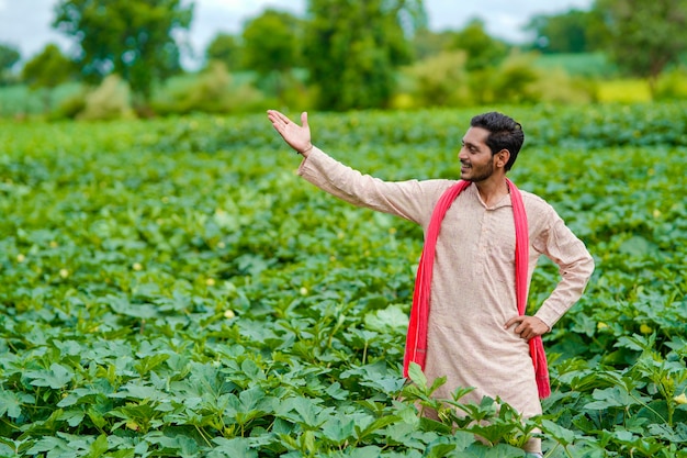 Joven agricultor indio en el campo de la agricultura verde.