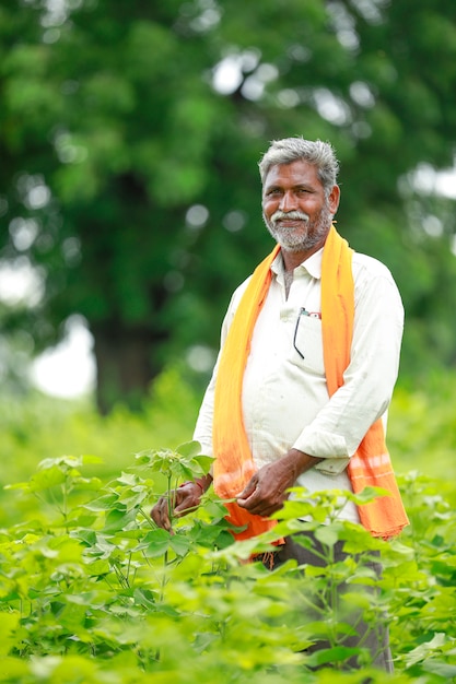 joven agricultor indio en el campo de algodón, India