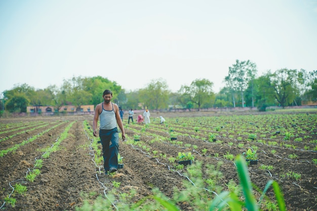 Joven agricultor indio en el campo de banano