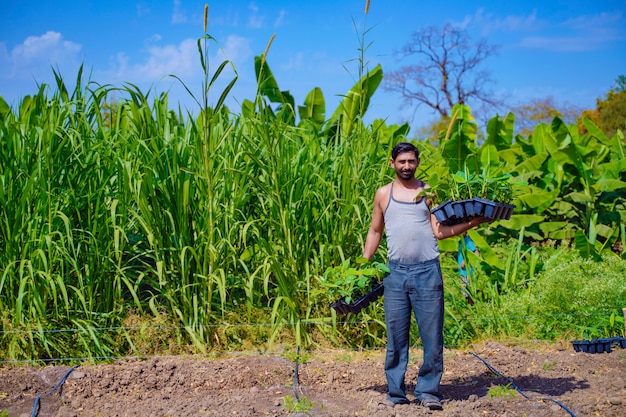 Joven agricultor indio en el campo de cultivo de tejidos de banano