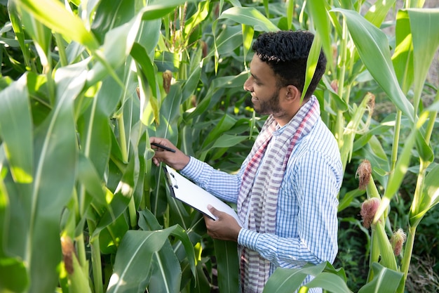 joven agricultor indio en el campo de maíz