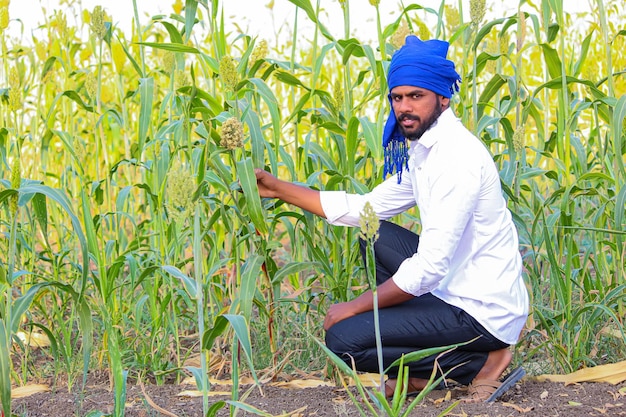 Joven agricultor indio en el campo de sorgo