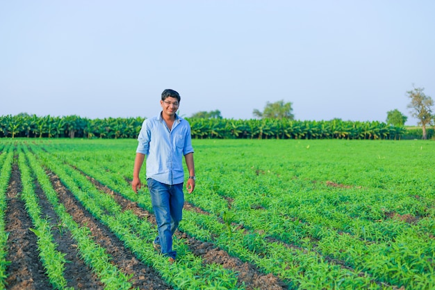 joven agricultor indio en el campo de trigo