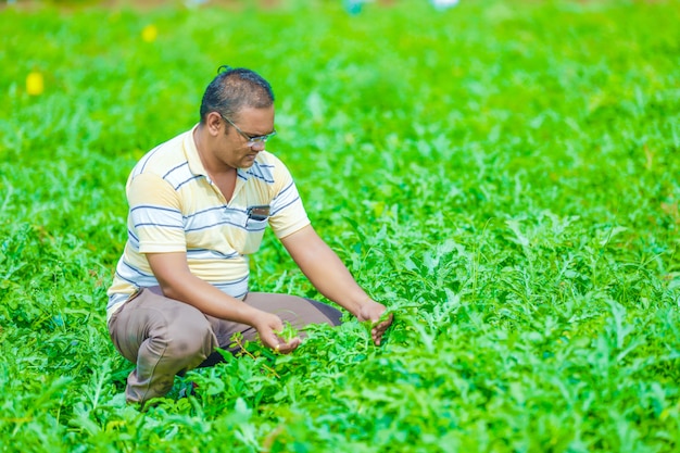 joven agricultor indio en el campo