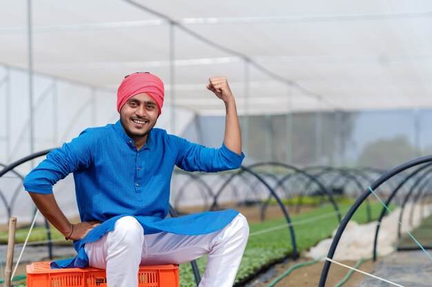 Joven agricultor indio en invernadero o casa de polietileno