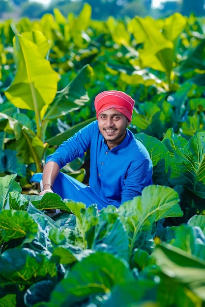 Joven agricultor indio mira las tierras de cultivo, el campo de coliflor