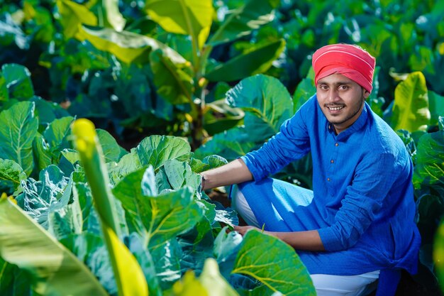 Joven agricultor indio mira las tierras de cultivo, el campo de coliflor