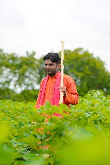 Joven agricultor indio de pie en el campo de la agricultura de algodón.