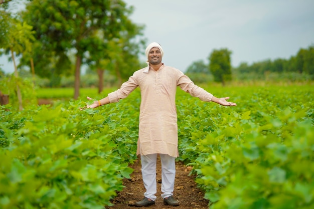 Joven agricultor indio de pie en el campo de la agricultura de algodón.