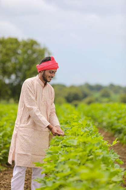 Joven agricultor indio de pie en el campo de la agricultura.