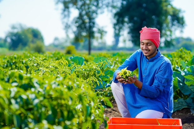 Joven agricultor indio sosteniendo verde frío en la mano en el campo de la agricultura