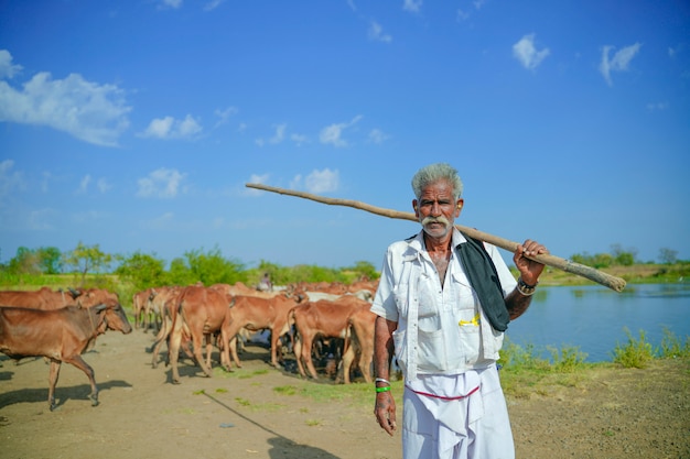 Joven agricultor indio con su ganado