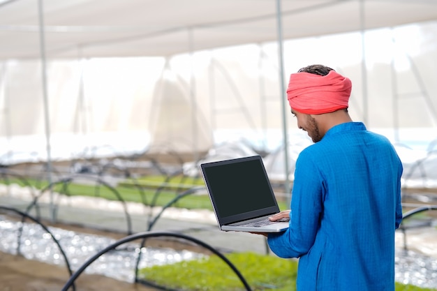 Joven agricultor indio usando laptop en invernadero o casa de polietileno