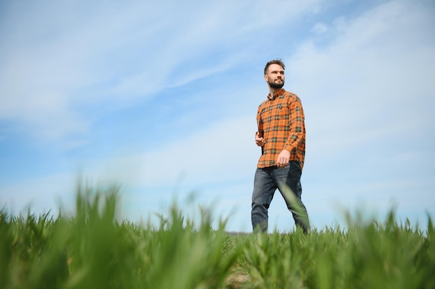 Foto un joven agricultor inspecciona la calidad de los brotes de trigo en el campo el concepto de agricultura