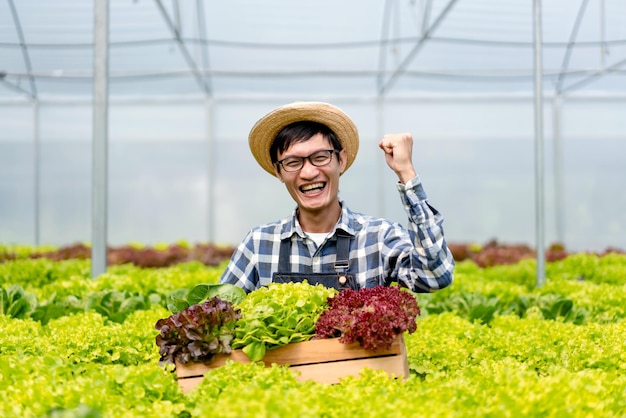 Joven agricultor inteligente sonriendo éxito y hoding vegetales hidropónicos orgánicos en la cesta