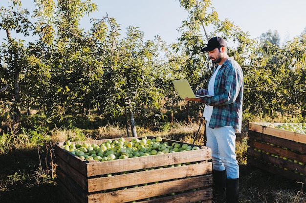 Foto joven agricultor latino teletrabajando en su computadora portátil en medio de contenedores de manzanas