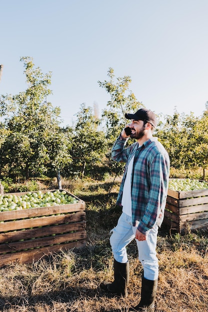 Joven agricultor latino usando su teléfono junto a la plantación de manzanas Concepto agrícola Nómada digital