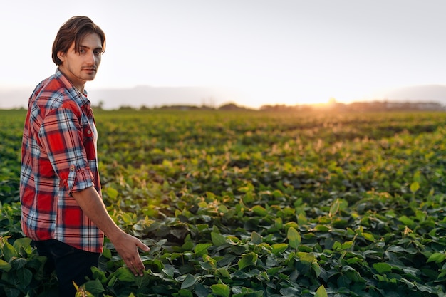 Joven agricultor de pie sobre un campo de soja al atardecer