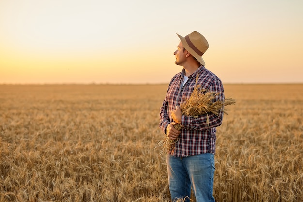 Joven agricultor satisfecho con un montón de trigo maduro