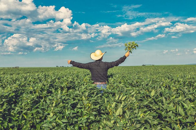 Foto joven agricultor con sombrero con soja en campo de soja.