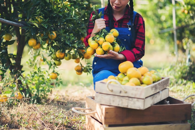 Joven agricultor sosteniendo dulces naranjos en las manos