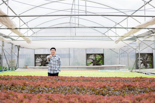 Joven agricultor sostiene su pulgar en la granja de vegetales orgánicos con una sonrisa. Granja orgánica e hidropónica moderna.