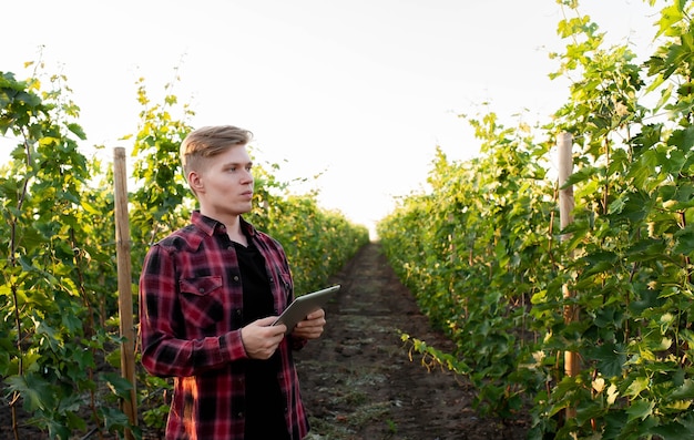 joven agricultor con tableta en viñedos