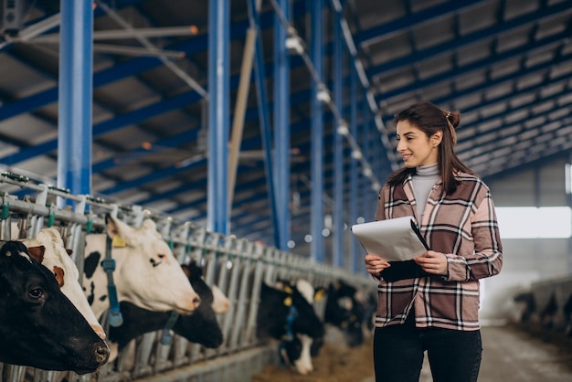 Joven agricultora cuidando vacas en el establo