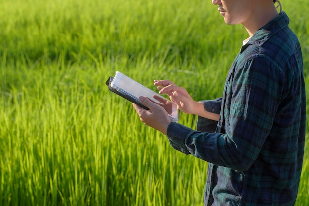 Una joven agricultora inteligente con tableta en el campo, innovaciones de alta tecnología y agricultura inteligente