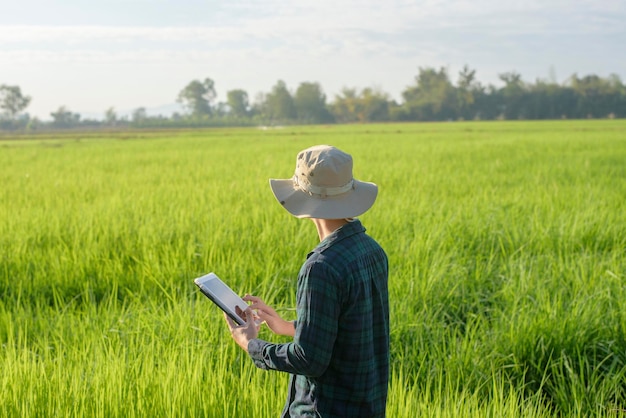 Una joven agricultora inteligente con tableta en el campo, innovaciones de alta tecnología y agricultura inteligente