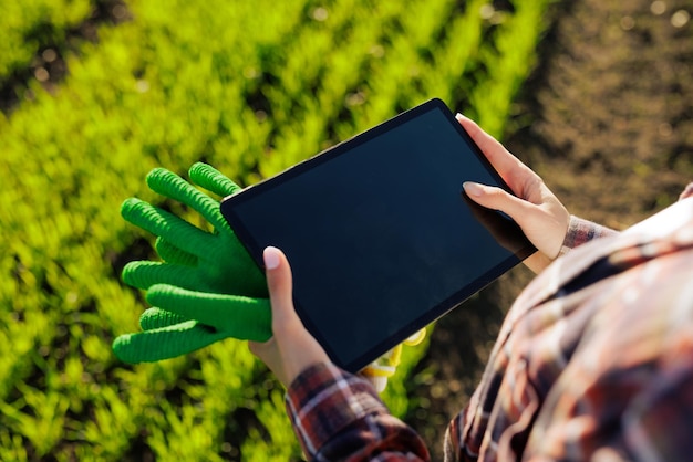 joven agricultora con una tableta en las manos examina el campo verde tecnologías modernas en la gestión de la agricultura y el concepto de agribusiness