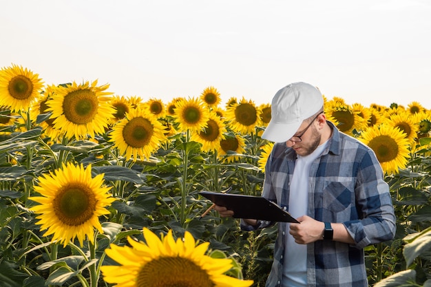 Joven agrónomo inspeccionando girasoles en el campo