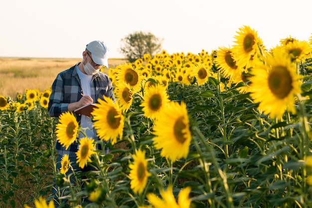 Joven agrónomo con mascarilla trabajando en campo de girasol