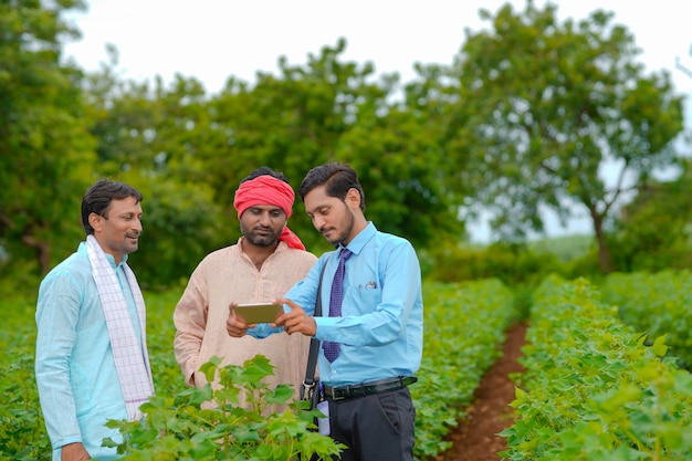 Joven agrónomo o banquero indio que muestra alguna información al agricultor en el teléfono inteligente en el campo de la agricultura.