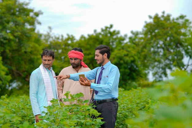 Joven agrónomo o banquero indio que muestra alguna información al agricultor en el teléfono inteligente en el campo de la agricultura.