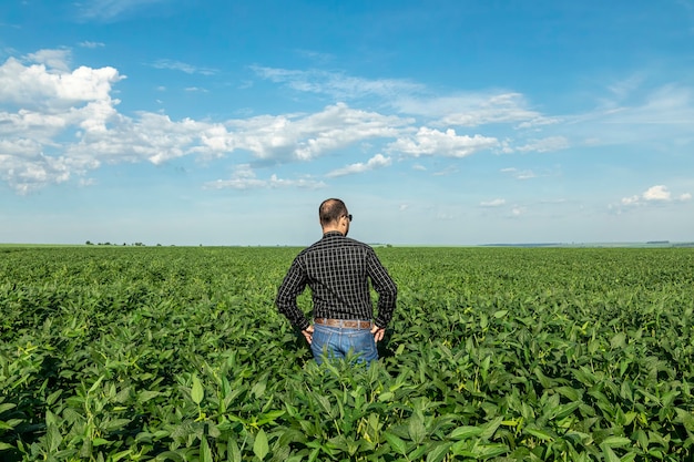 Joven agrónomo en plantación de soja.