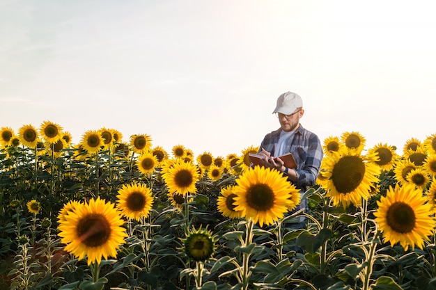 Joven agrónomo que trabaja en campo de girasol