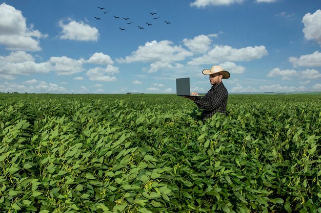 Joven agrónomo con sombrero sosteniendo portátil en campo de soja.