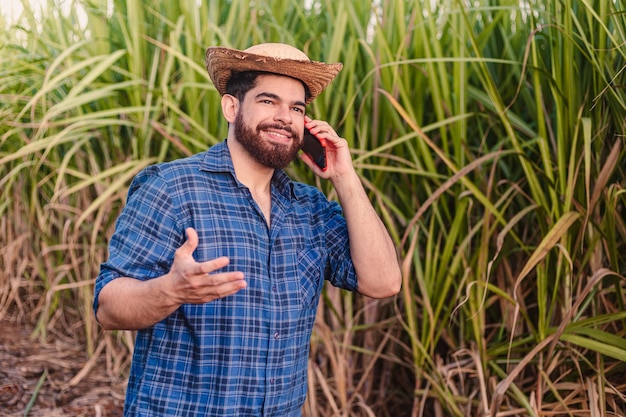 Joven agrónomo trabajador agrícola con sombrero de paja hablando por teléfono celular con una plantación de caña de azúcar en el fondo