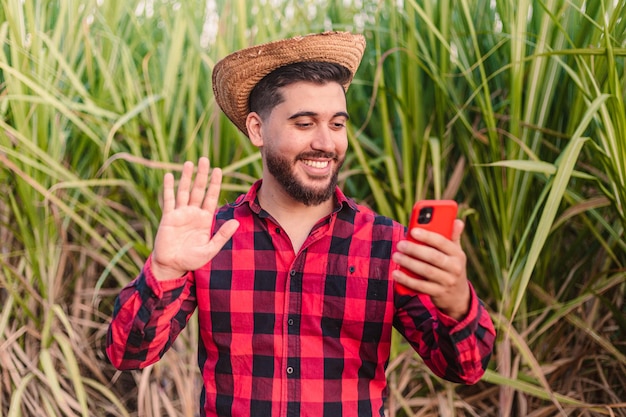 Joven agrónomo trabajador agrícola videoconferencia videollamada con plantación de caña de azúcar en el fondo