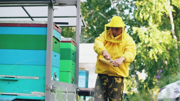 Un joven apicultor limpia un marco de miel de madera trabajando en el colmenar el día de verano