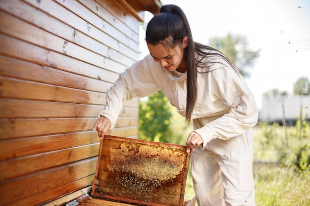 Joven apicultor saca de la colmena un marco de madera con nido de abeja. Recoge miel. Apicultura