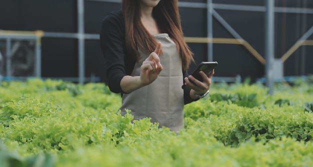 Joven asiática y agricultor senior trabajando juntos en una granja de vegetales de ensalada hidropónica orgánica Propietario de un huerto moderno que usa una tableta digital para inspeccionar la calidad de la lechuga en un jardín de invernadero