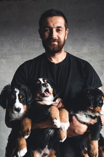 Joven, Bernese Mountain Dog en las manos. Primer plano, foto de estudio. Concepto de cuidado, educación, formación y crianza de animales